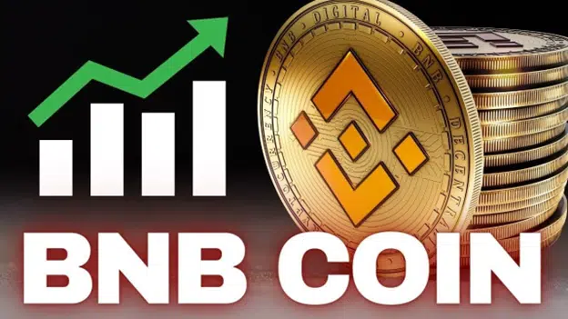 Unraveling the Success Story of Binance Coin (BNB)
